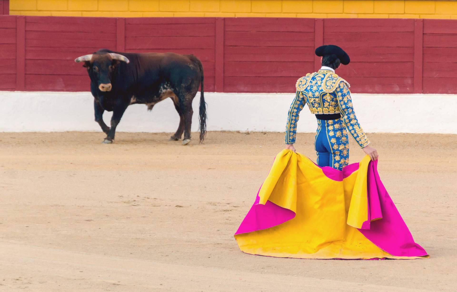Ganadería La Manchega, la finca propiedad de la empresa Royal Mediter donde se pueden celebrar todo tipo de eventos