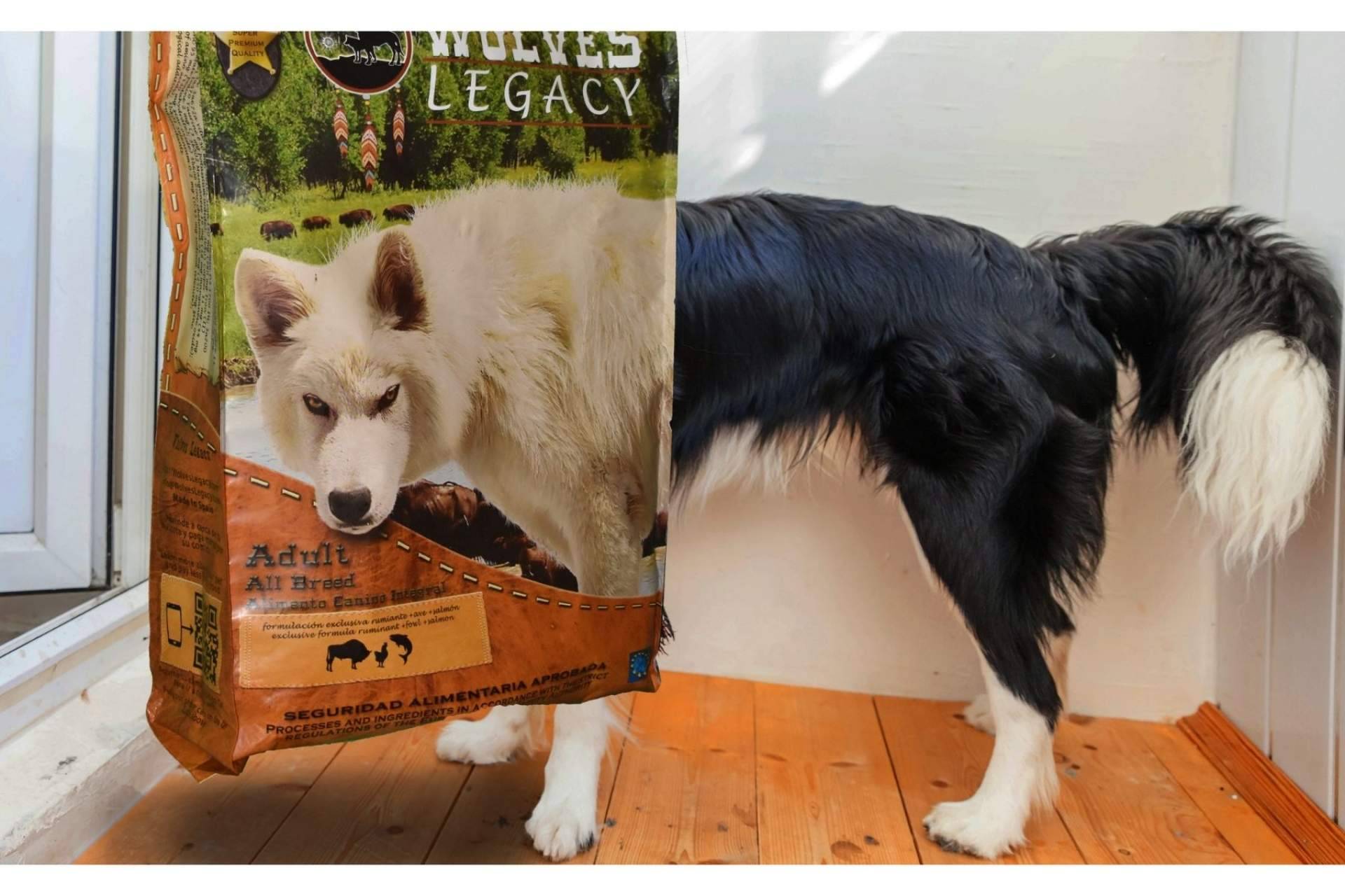 Las mejores opiniones del pienso para perros: Wolves Legacy