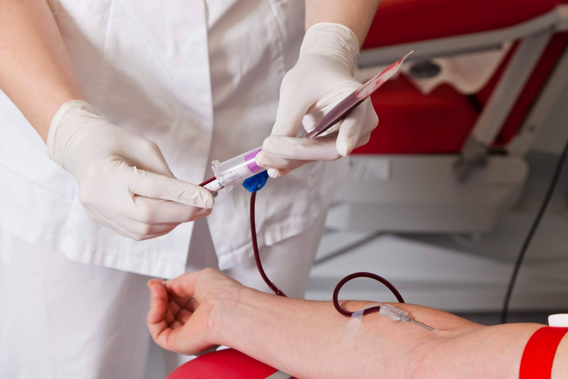 Ayurveda Medicina Natural recomienda donar sangre en otoño y primavera, una acción solidaria que beneficia la salud