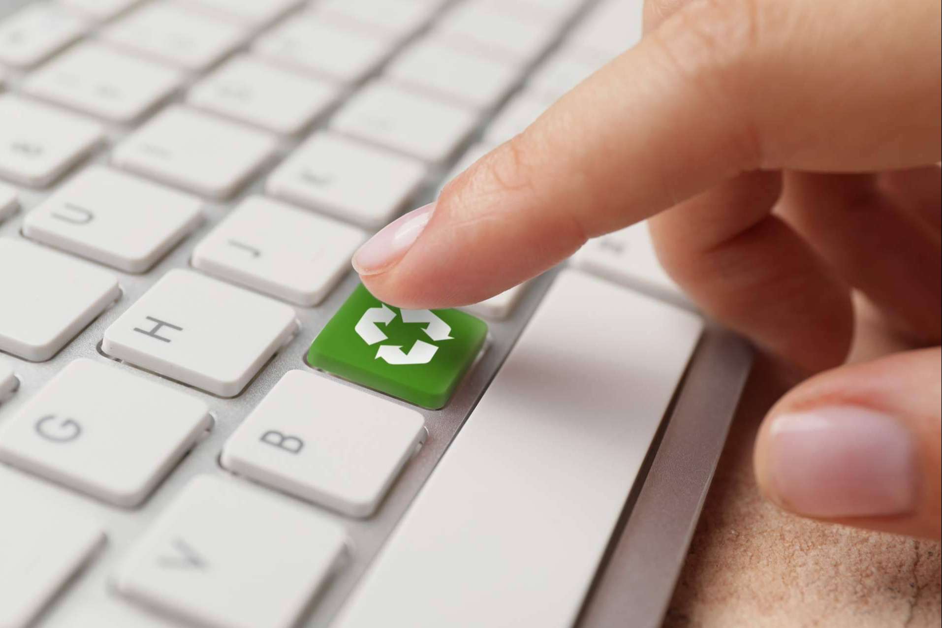 La agencia de marketing online para startups con mirada sostenible Clover