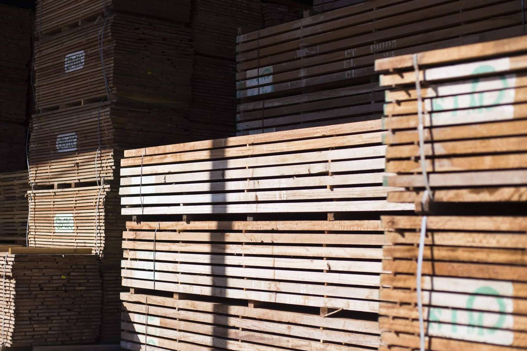La industria de la madera y su innovación, sostenibilidad e internacionalización