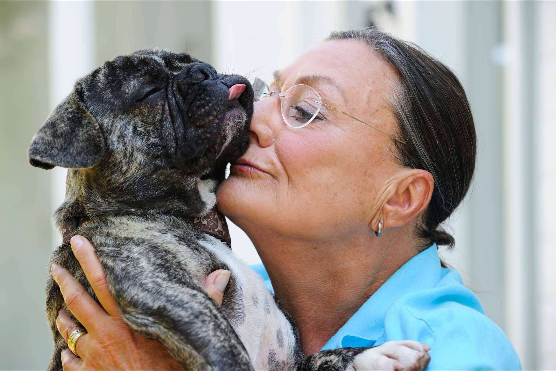 Los perros invisibles también necesitan un hogar