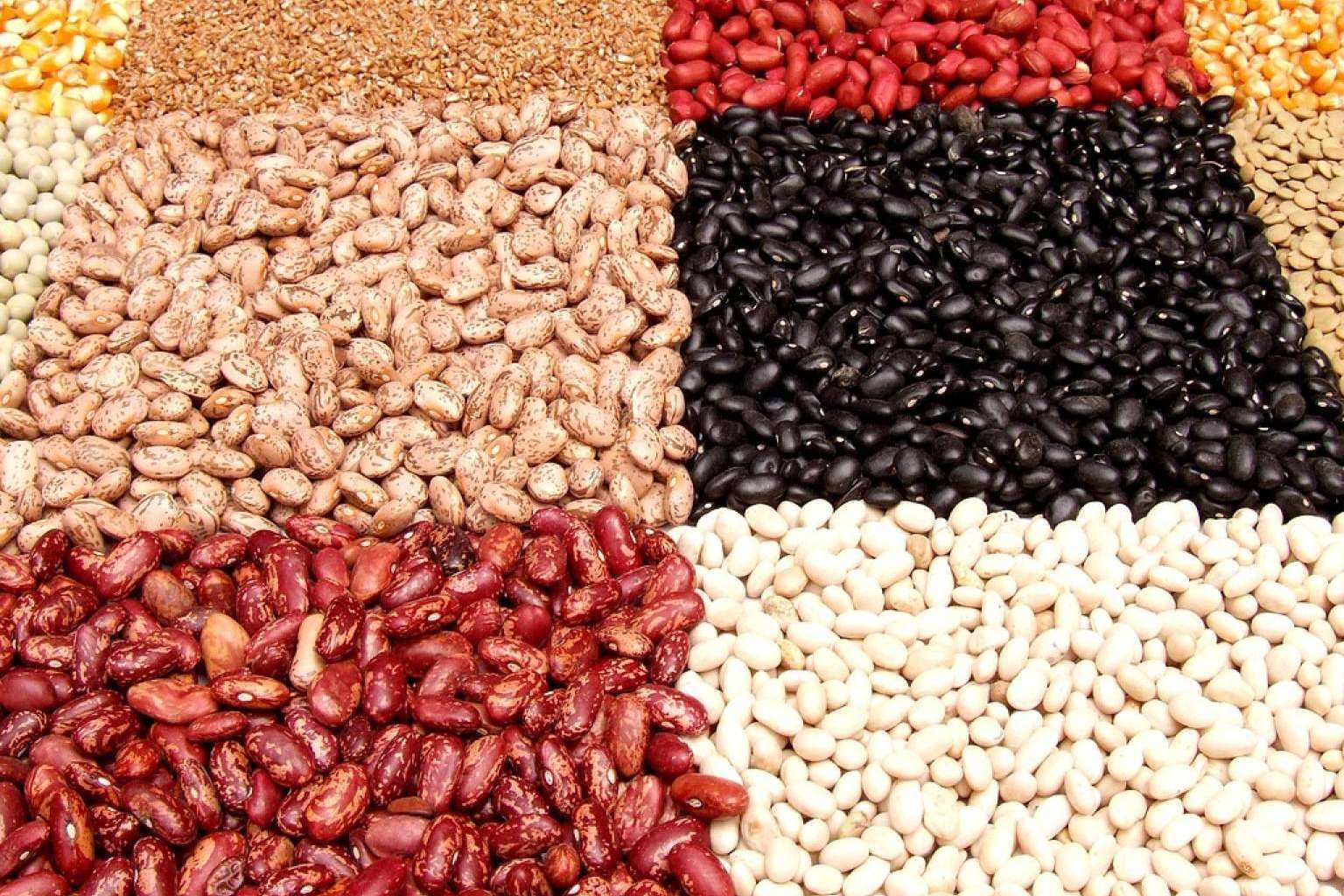La nueva página web que ayuda a sus clientes a seguir una alimentación más saludable