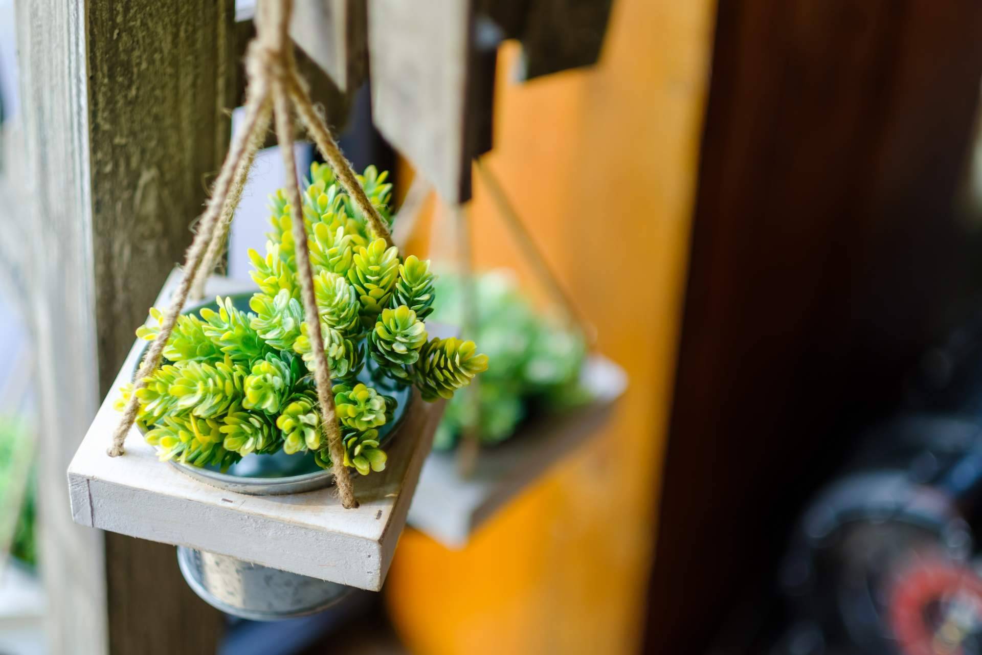 Plantas artificiales de interior, dar un toque natural y de vida a cualquier estancia, con la firma JardínVertical.es