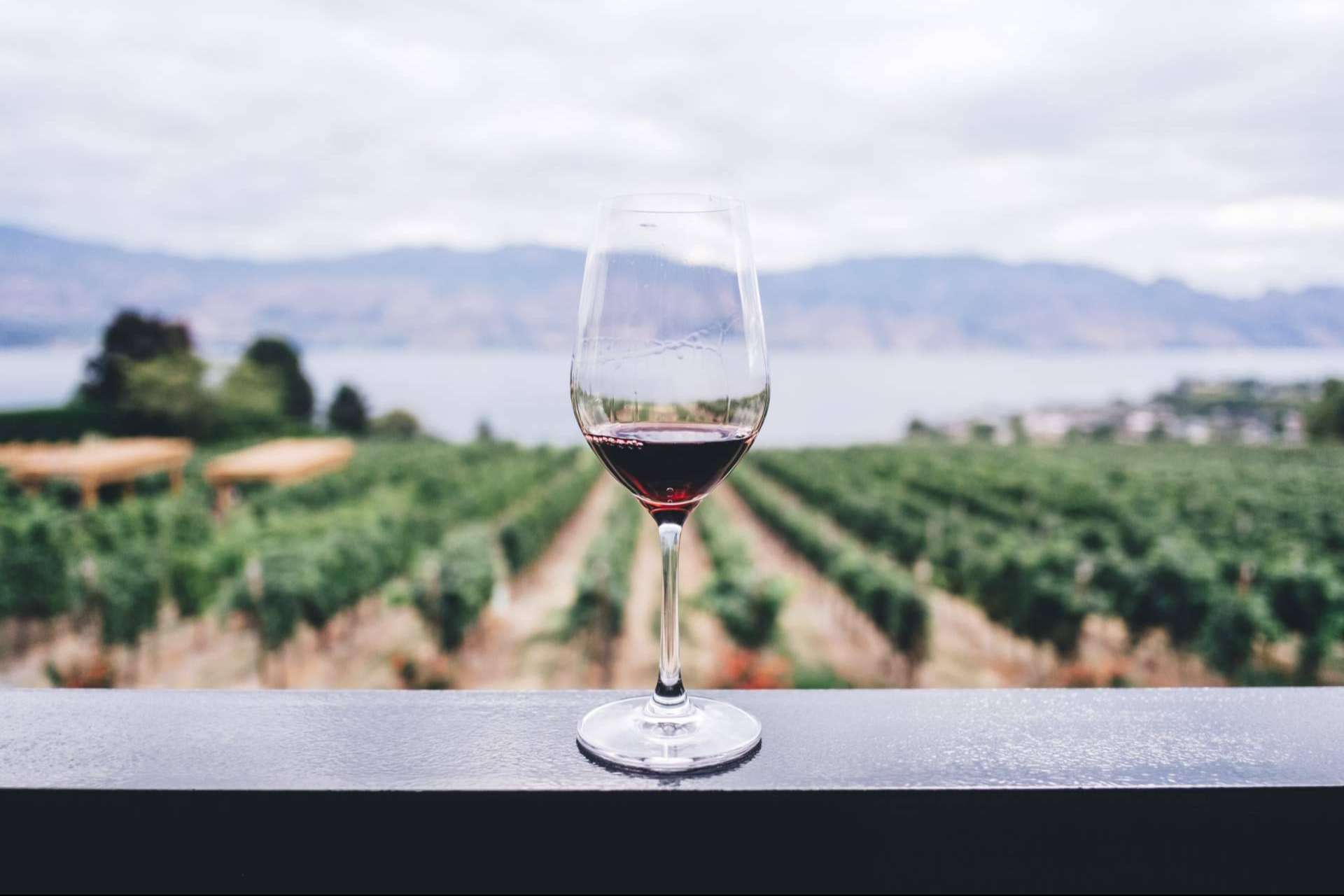 Planetazur, catas de vino en la Provenza Francesa