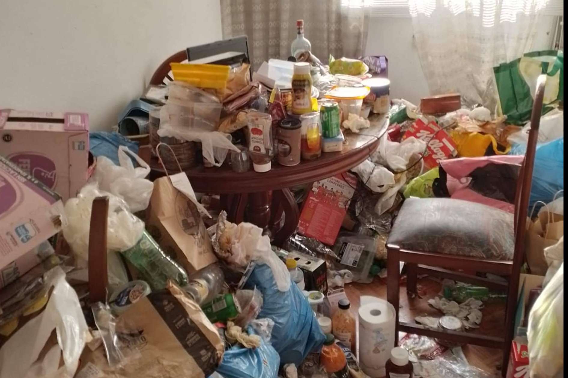 Cientos de kilos de basura, cero miedo; el día a día de los limpiadores extremos