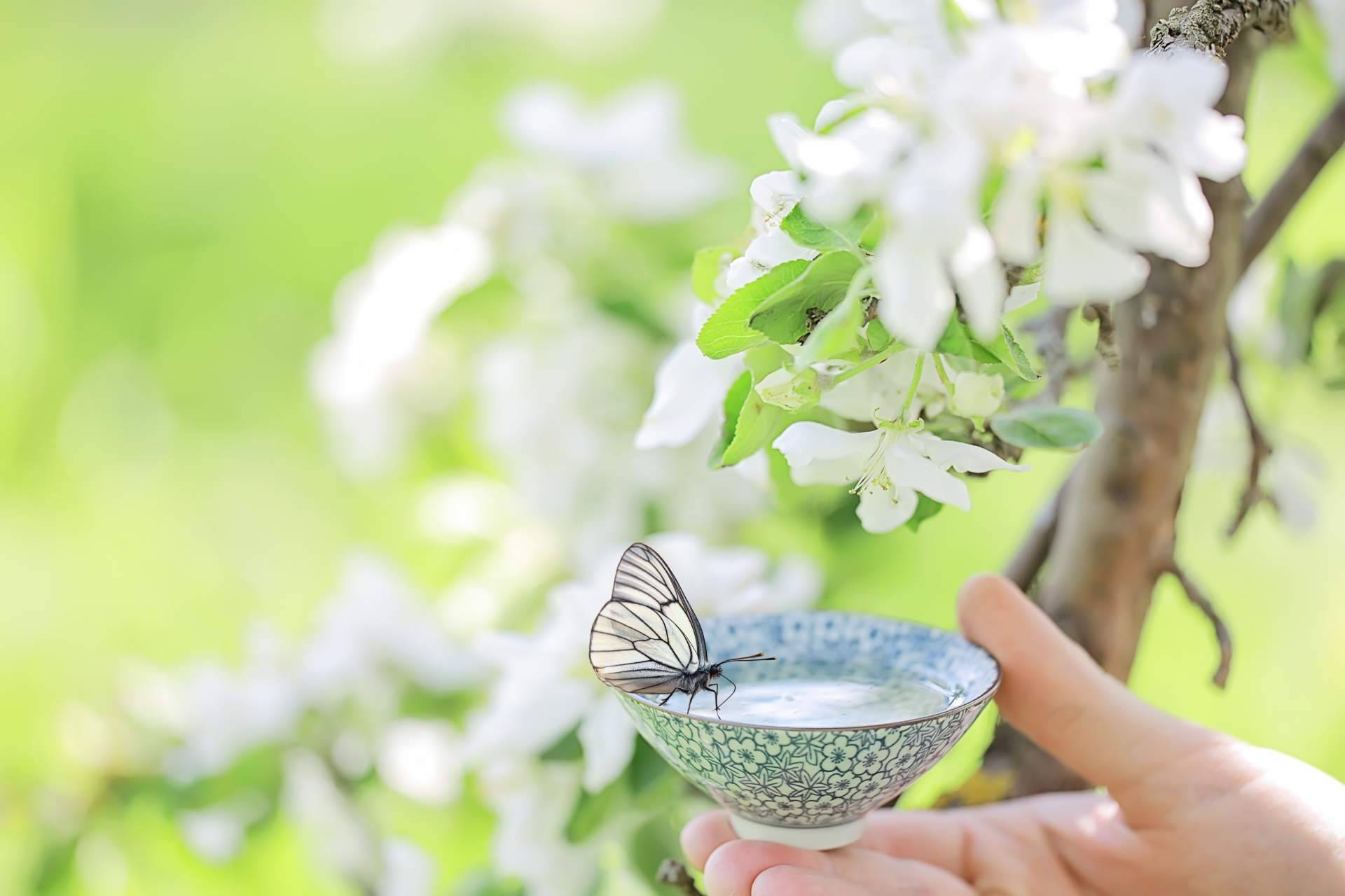 Green mindfulness, un complemento a encuentros, formaciones o workshops que ofrece una experiencia perfecta