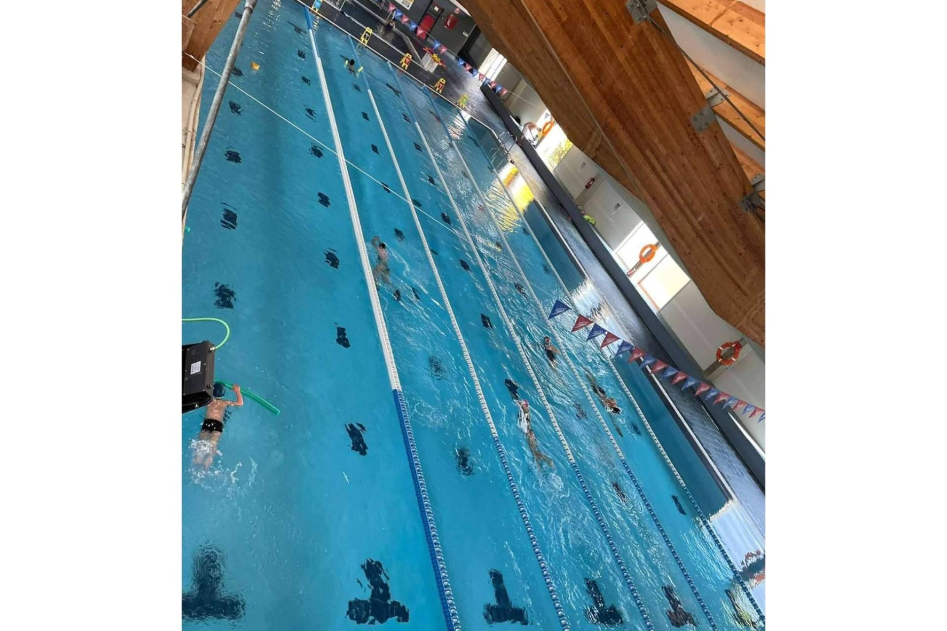 Un aliado en tiempos de sequía, Pool Tiger