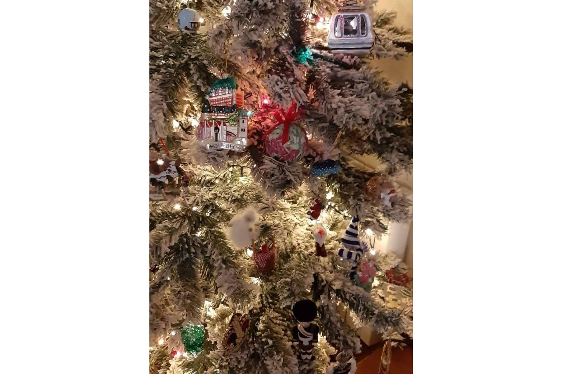 xmastreefriends, un cuento de Navidad que convoca a la comunidad infantil amiga del árbol navideño
